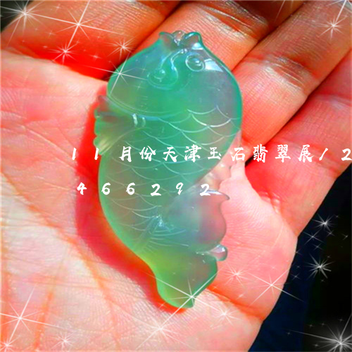 11月份天津玉石翡翠展/2023031466292