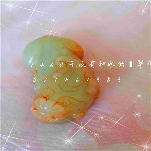 1260元没有种水的翡翠牌子/2023071469383