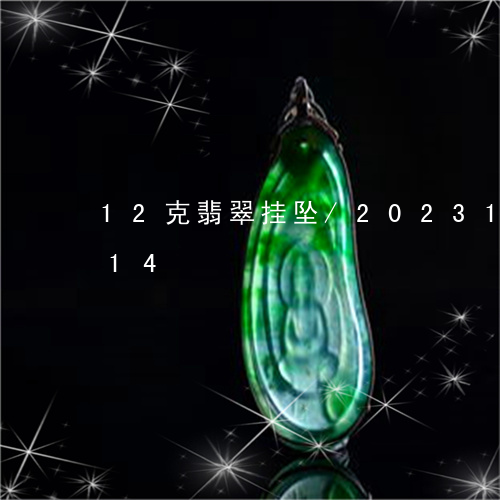 12克翡翠挂坠/2023121653514