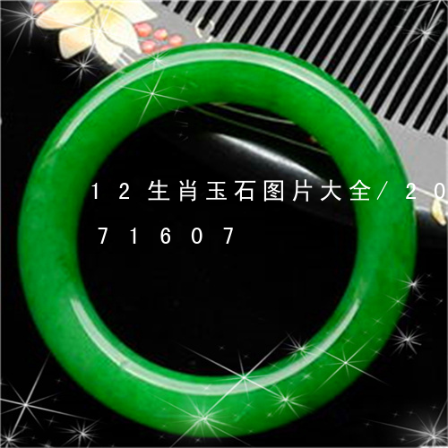 12生肖玉石图片大全/2023072171607