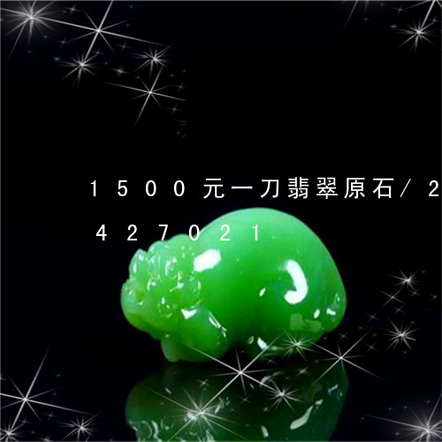 1500元一刀翡翠原石/2023031427021