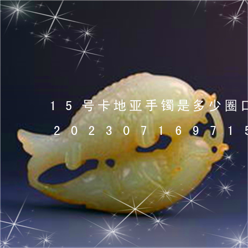 15号卡地亚手镯是多少圈口号对应玉镯/2023071697159