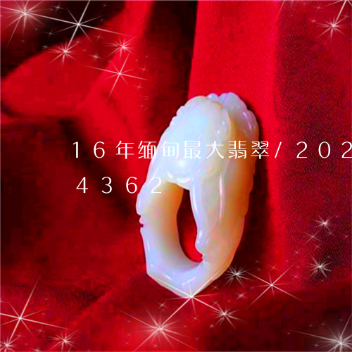 16年缅甸最大翡翠/2023110214362