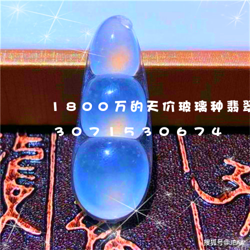 1800万的天价玻璃种翡翠原石/2023071530674