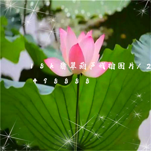 18k翡翠葫芦戒指图片/2023031498888