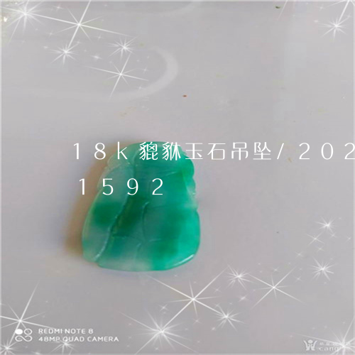 18k貔貅玉石吊坠/2023112361592