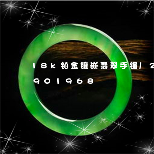 18k铂金镶嵌翡翠手镯/2023092901968