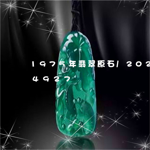 1975年翡翠原石/2023110104927