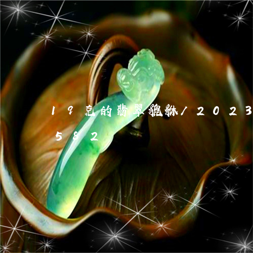 19克的翡翠貔貅/2023102469582