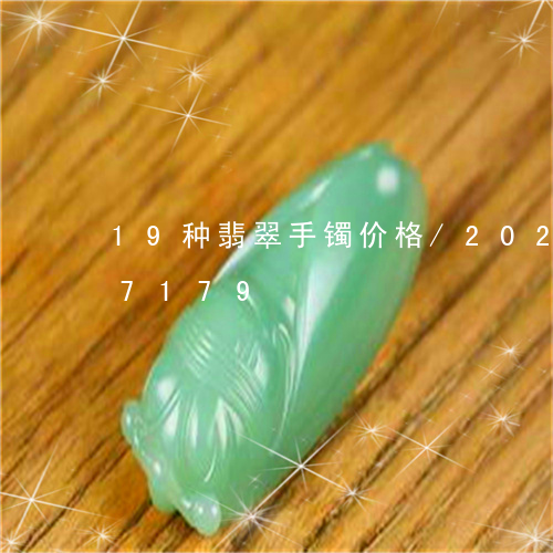 19种翡翠手镯价格/2023110137179