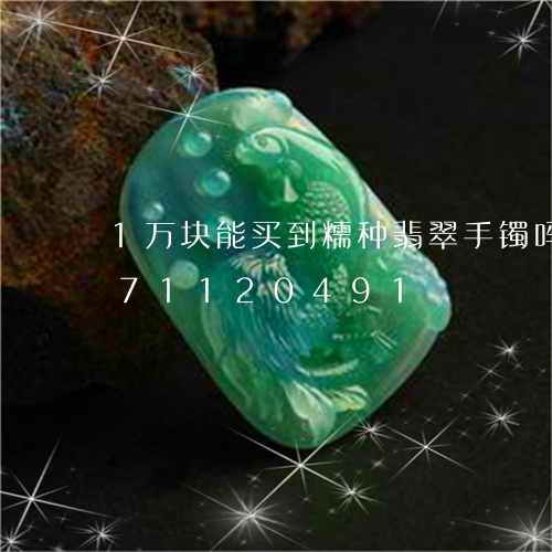 1万块能买到糯种翡翠手镯吗/2023071120491