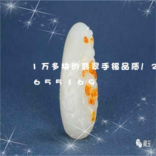 1万多块的翡翠手镯品质/2023110655169