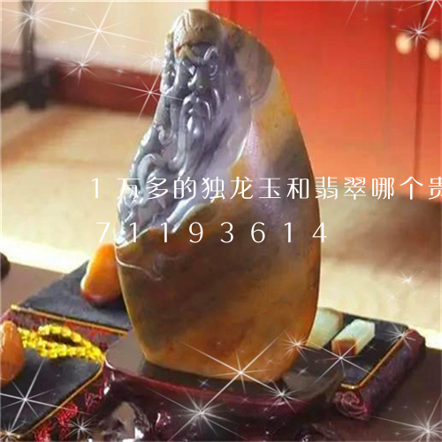 1万多的独龙玉和翡翠哪个贵/2023071193614