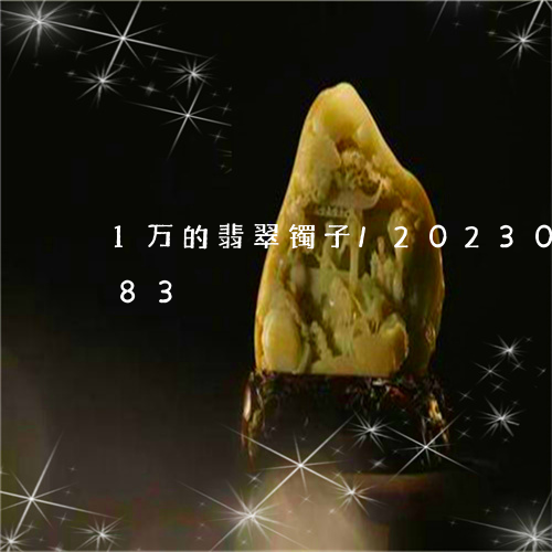 1万的翡翠镯子/2023033189883