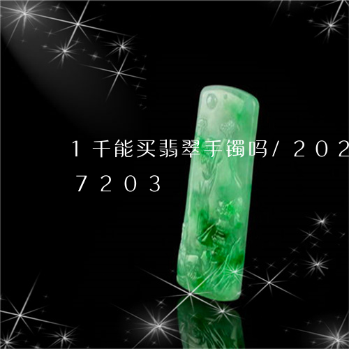 1千能买翡翠手镯吗/2023110127203