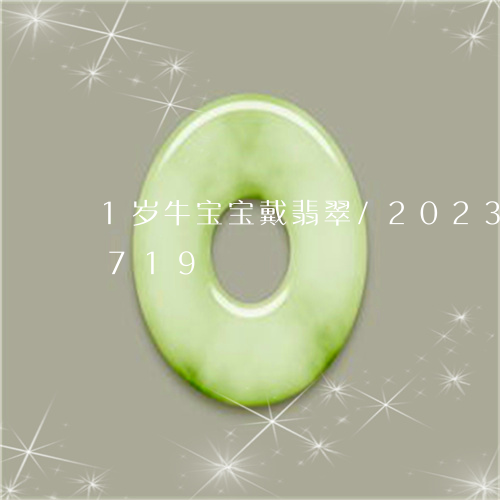 1岁牛宝宝戴翡翠/2023102464719