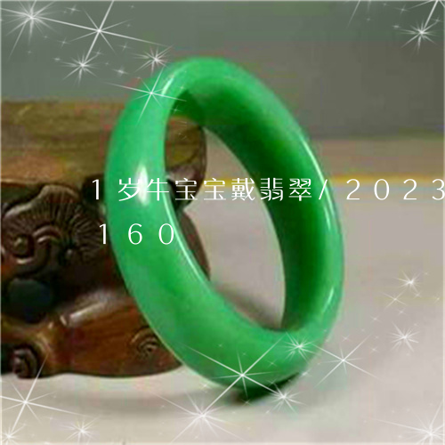 1岁牛宝宝戴翡翠/2023102466160