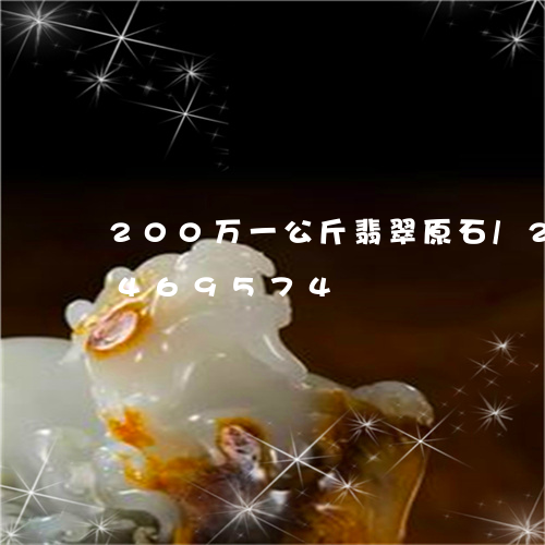 200万一公斤翡翠原石/2023031469574