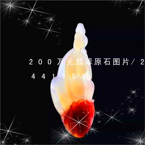 200万元翡翠原石图片/2023031441158