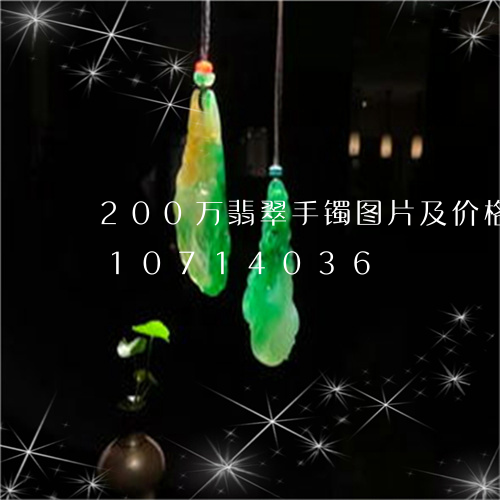 200万翡翠手镯图片及价格/2023110714036