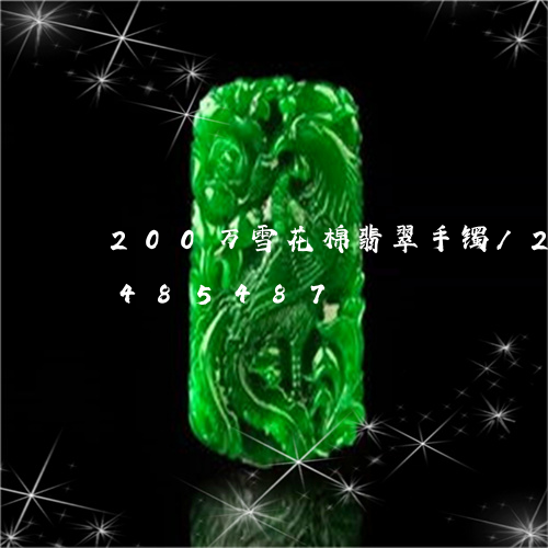 200万雪花棉翡翠手镯/2023031485487