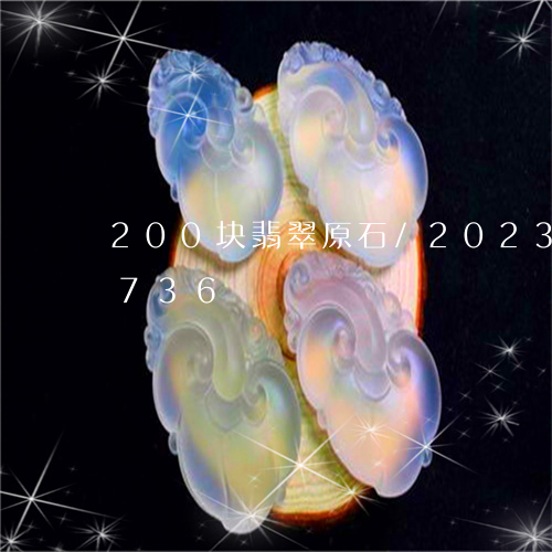 200块翡翠原石/2023042771736