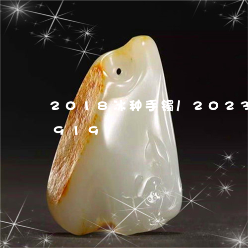 2018冰种手镯/2023042718919