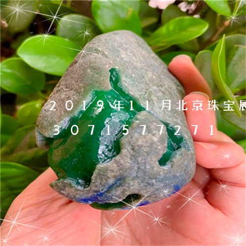 2019年11月北京珠宝展翡翠/2023071577271