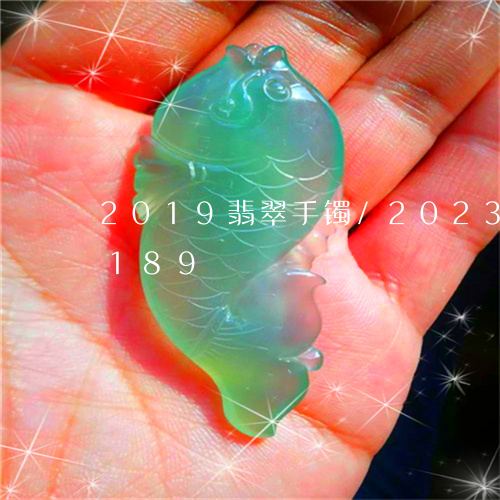 2019翡翠手镯/2023042722189