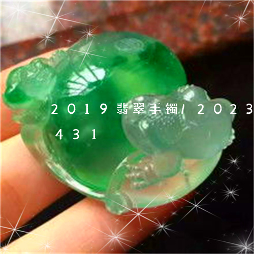 2019翡翠手镯/2023042759431