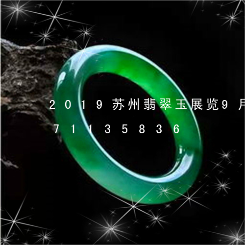 2019苏州翡翠玉展览9月/2023071135836