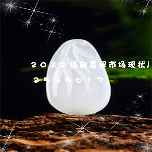 2022缅甸翡翠市场现状/2023112535617