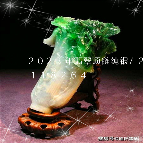 2023年翡翠项链纯银/2023110118264