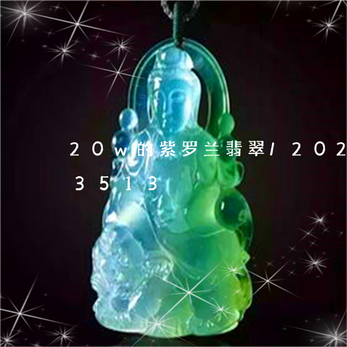 20w的紫罗兰翡翠/2023110173513