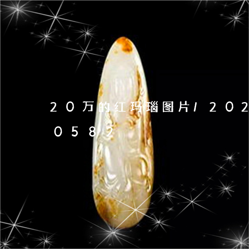 20万的红玛瑙图片/2023110130582