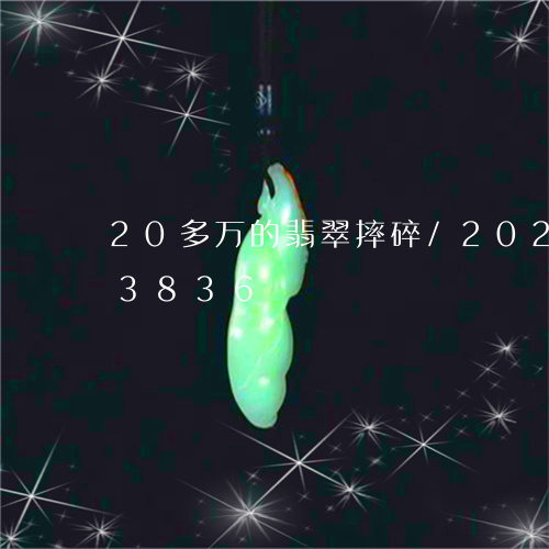 20多万的翡翠摔碎/2023102493836