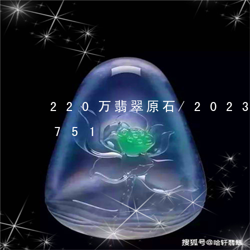 220万翡翠原石/2023042710751