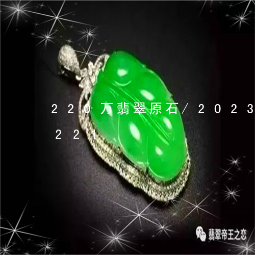 220万翡翠原石/2023042734221