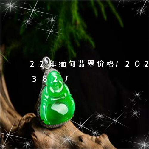 22年缅甸翡翠价格/2023102613827