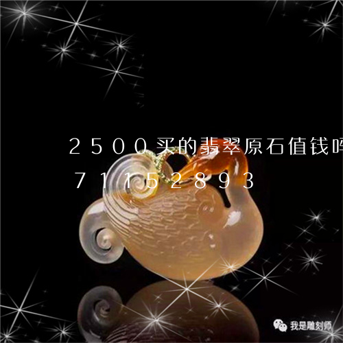 2500买的翡翠原石值钱吗/2023071152893