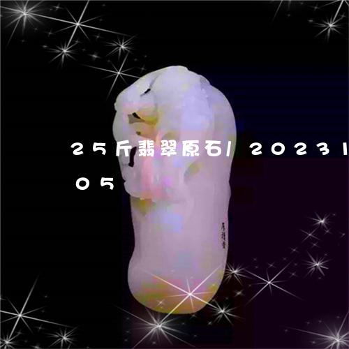 25斤翡翠原石/2023112399605