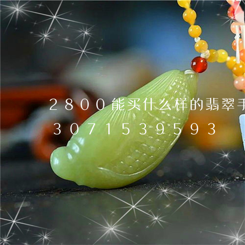 2800能买什么样的翡翠手镯好/2023071539593