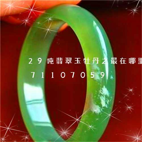 29吨翡翠玉牡丹之最在哪里/2023071107059