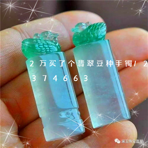 2万买了个翡翠豆种手镯/2023031374663