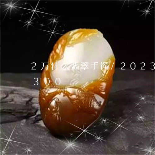 2万什么翡翠手镯/2023042704300