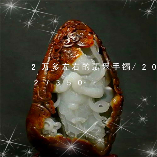 2万多左右的翡翠手镯/2023091227350