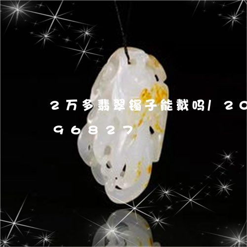 2万多翡翠镯子能戴吗/2023072296827