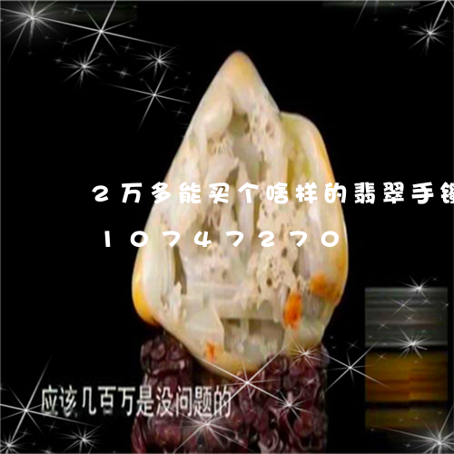 2万多能买个啥样的翡翠手镯/2023110747270