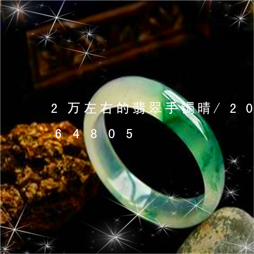 2万左右的翡翠手镯晴/2023072264805