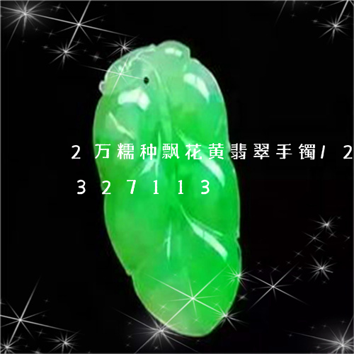 2万糯种飘花黄翡翠手镯/2023031327113